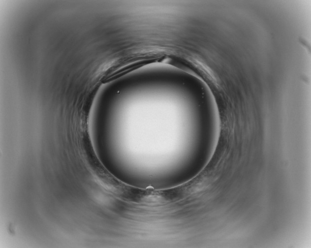 X0000099430119200805091258