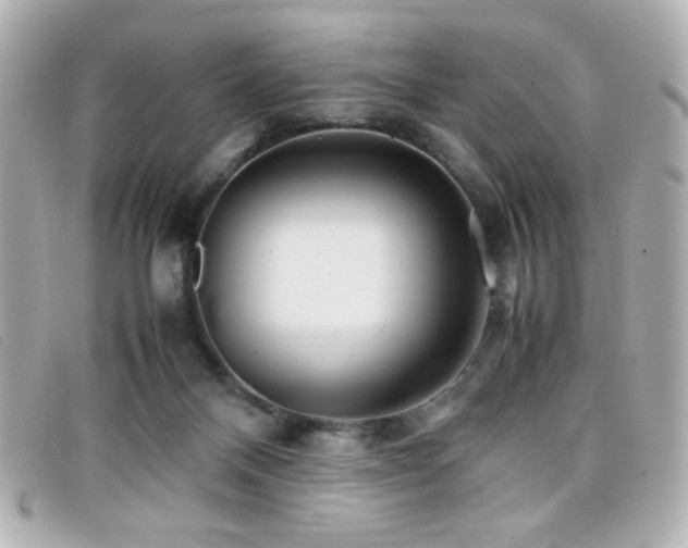 X0000099430120200805091258