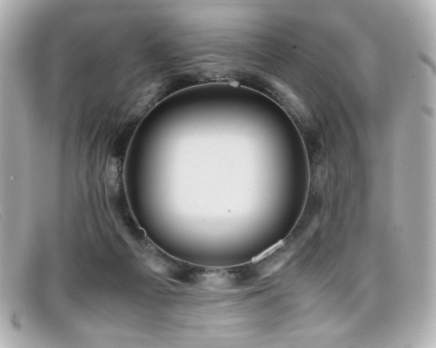 X0000099430121200805091258