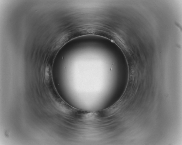 X0000099430122200805091258