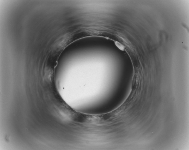 X0000099430125200805091258