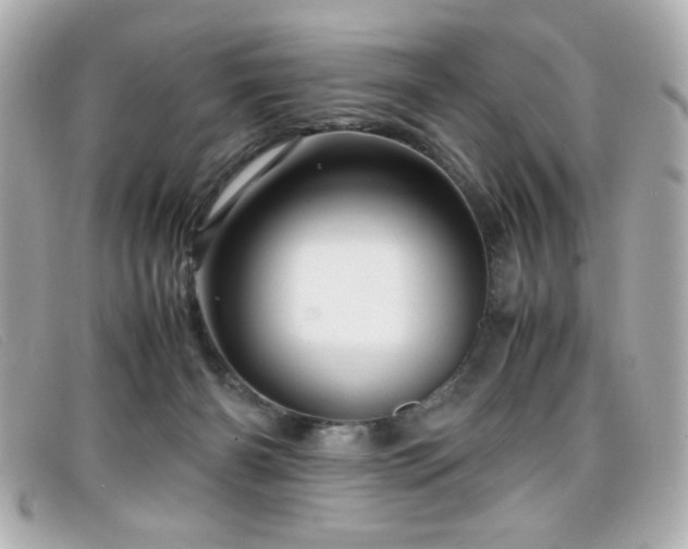 X0000099430126200805091258