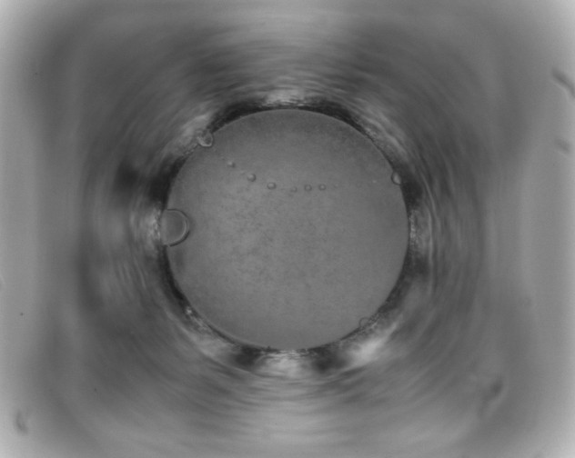 X0000099430127200805091258
