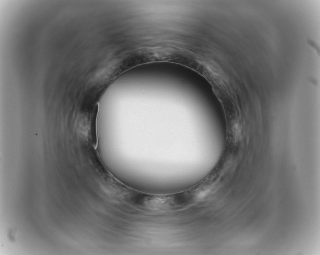 X0000099430129200805091258