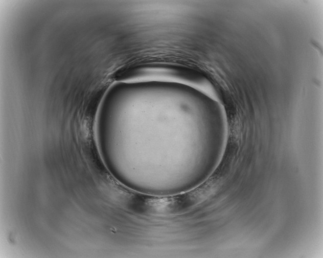 X0000099430131200805091258