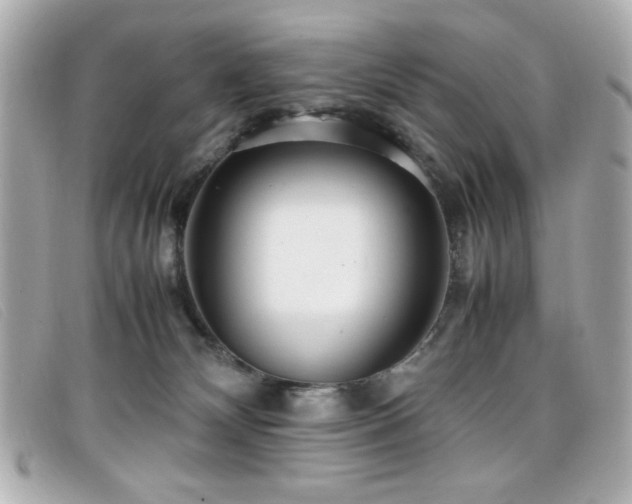 X0000099430132200805091258