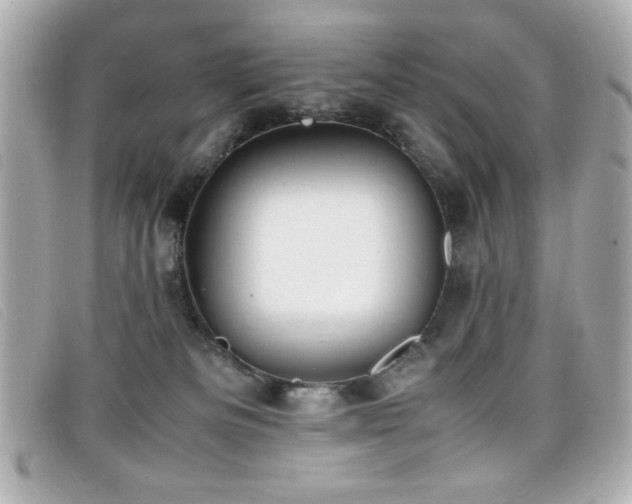 X0000099430133200805091258