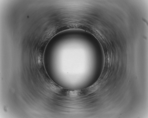 X0000099430134200805091258