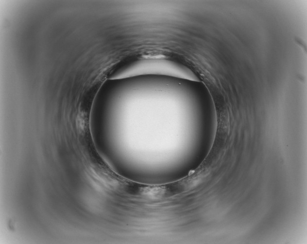 X0000099430135200805091258