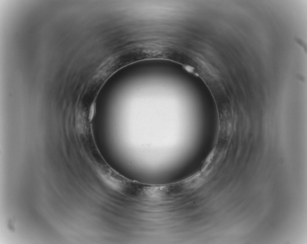 X0000099430136200805091258