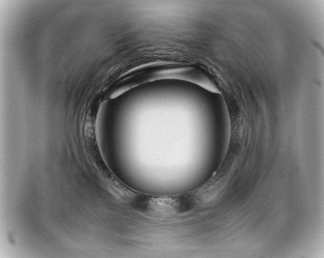 X0000099430137200805091258
