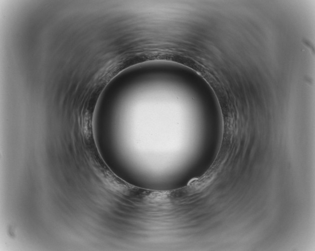 X0000099430138200805091258