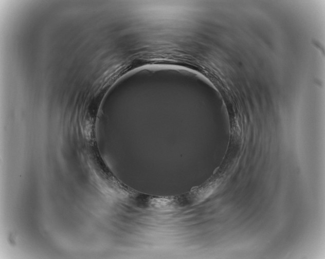 X0000099430139200805091258