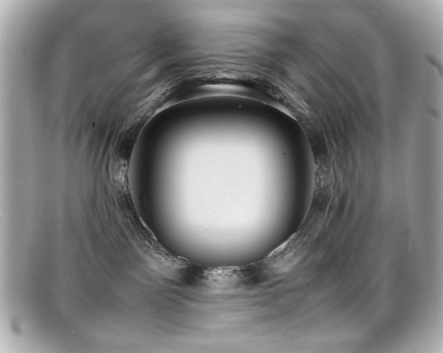 X0000099430141200805091258