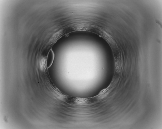 X0000099430142200805091258
