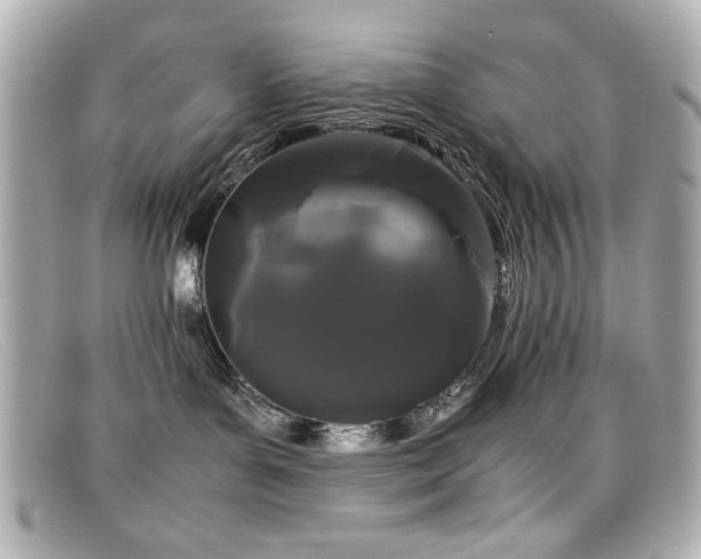 X0000099430143200805091258