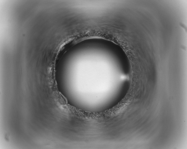 X0000099430144200805091258