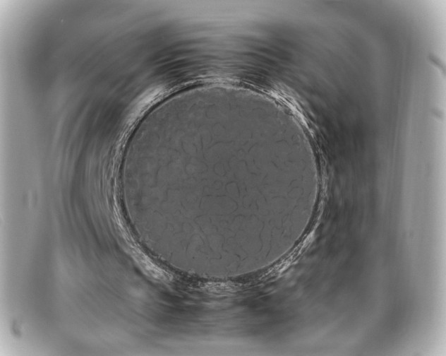 X0000099430145200805091257