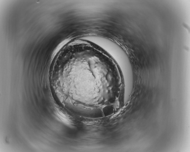 X0000099430147200805091257