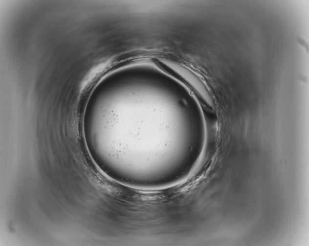 X0000099430149200805091257