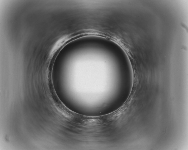 X0000099430151200805091257