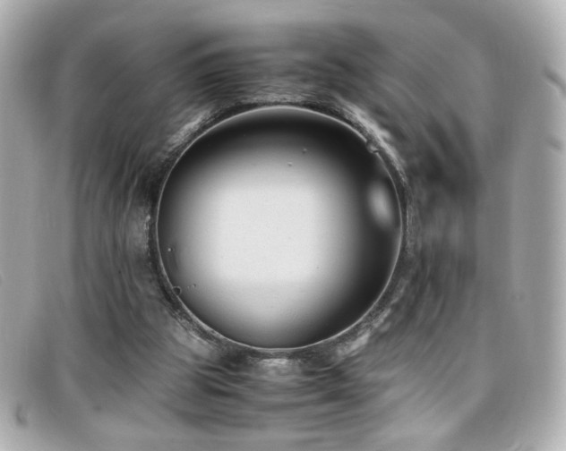 X0000099430153200805091258