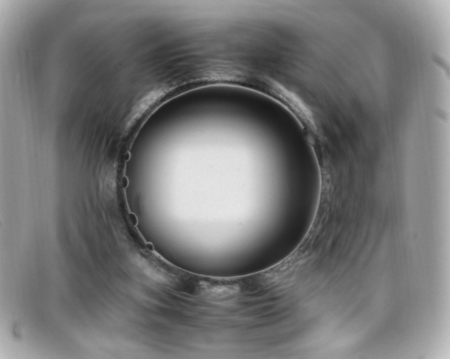 X0000099430155200805091258