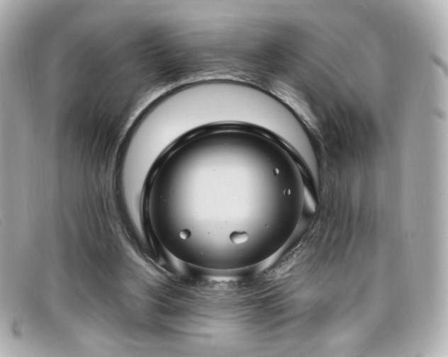 X0000099430156200805091258