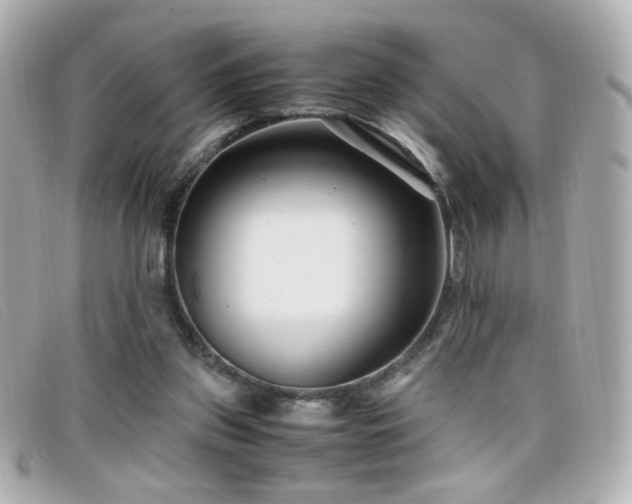 X0000099430157200805091258