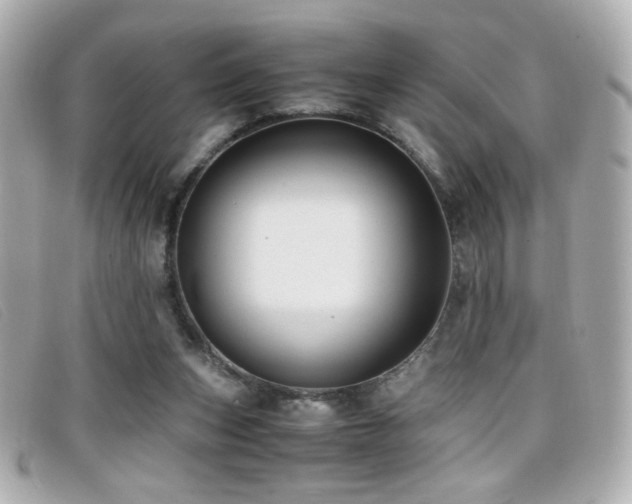 X0000099430159200805091258