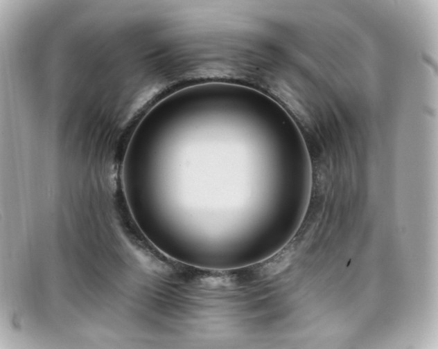 X0000099430160200805091258