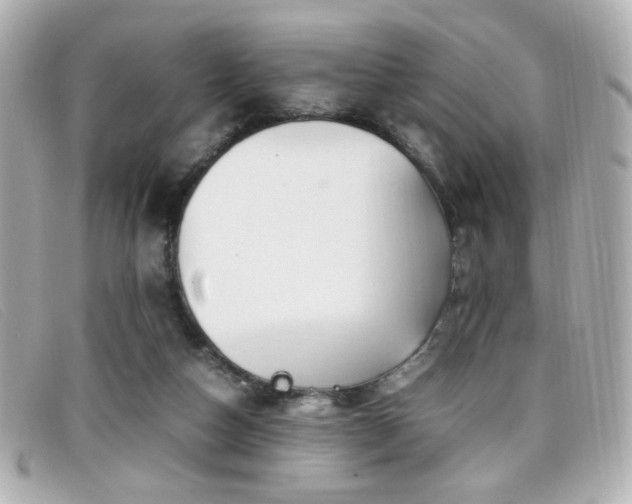 X0000099430162200805091258