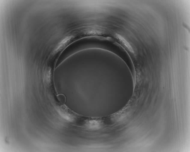 X0000099430163200805091258
