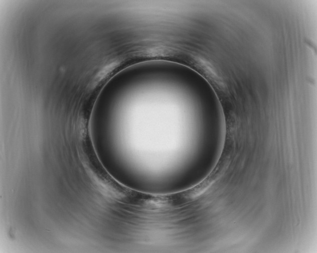 X0000099430164200805091258