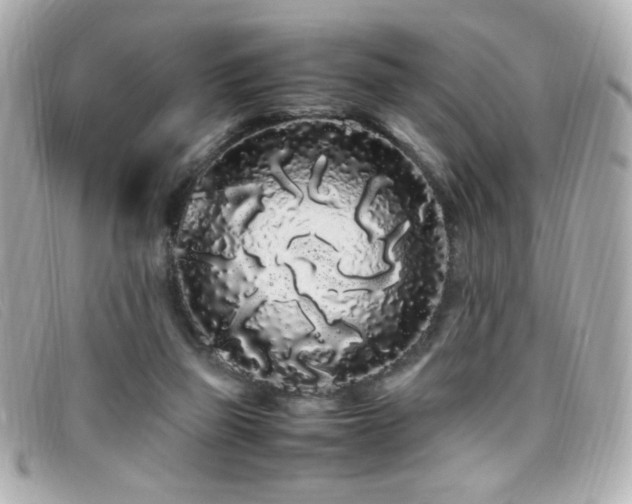 X0000099430165200805091258