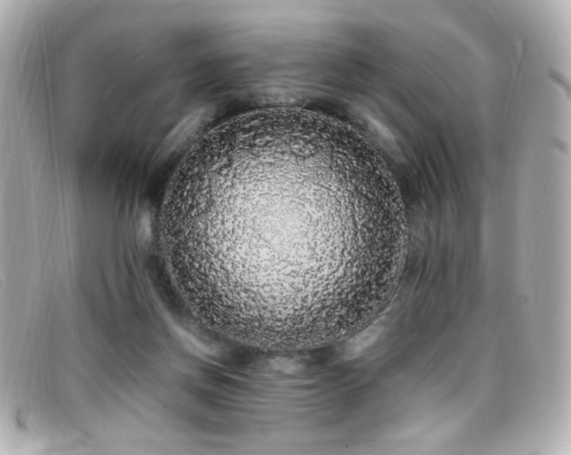 X0000099430166200805091258