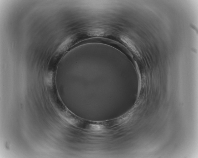 X0000099430167200805091258