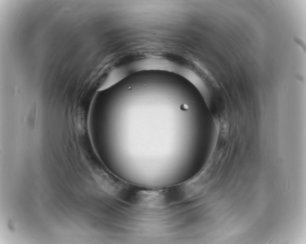 X0000099430170200805091258