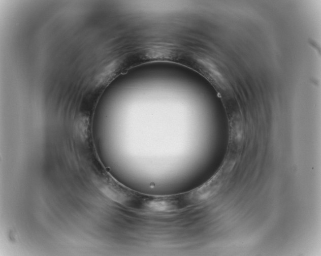 X0000099430171200805091258