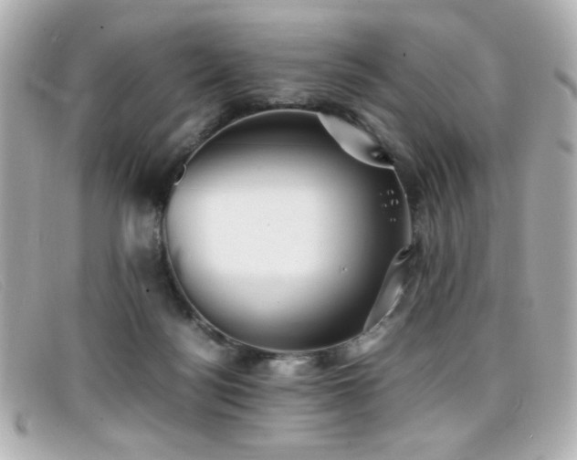 X0000099430172200805091258