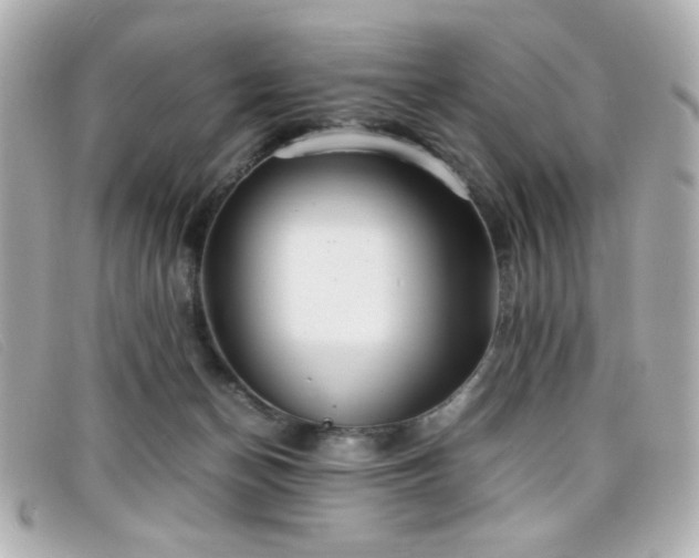 X0000099430174200805091258