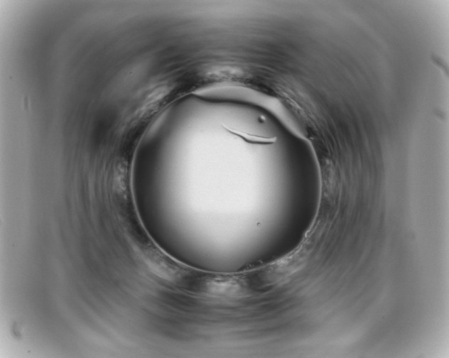 X0000099430175200805091258