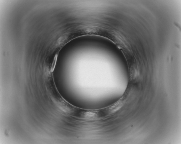 X0000099430176200805091258