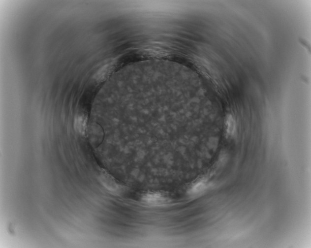 X0000099430177200805091258