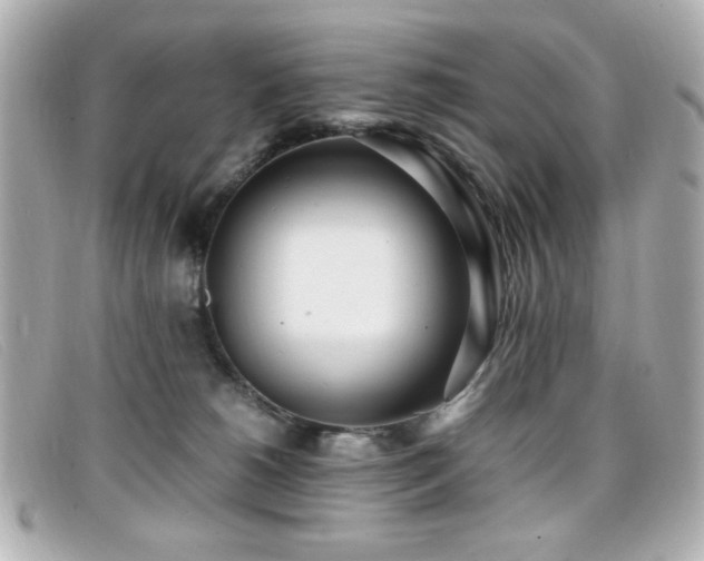 X0000099430180200805091258