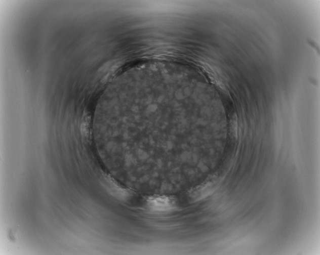 X0000099430181200805091258