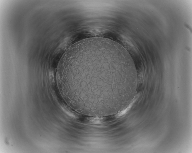 X0000099430182200805091258