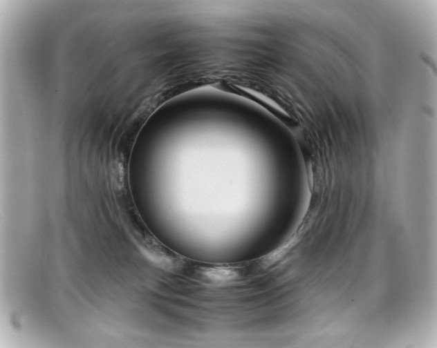 X0000099430183200805091258
