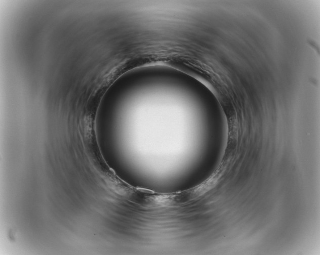 X0000099430184200805091258