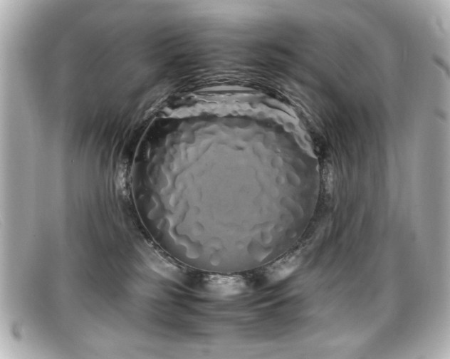 X0000099430185200805091258